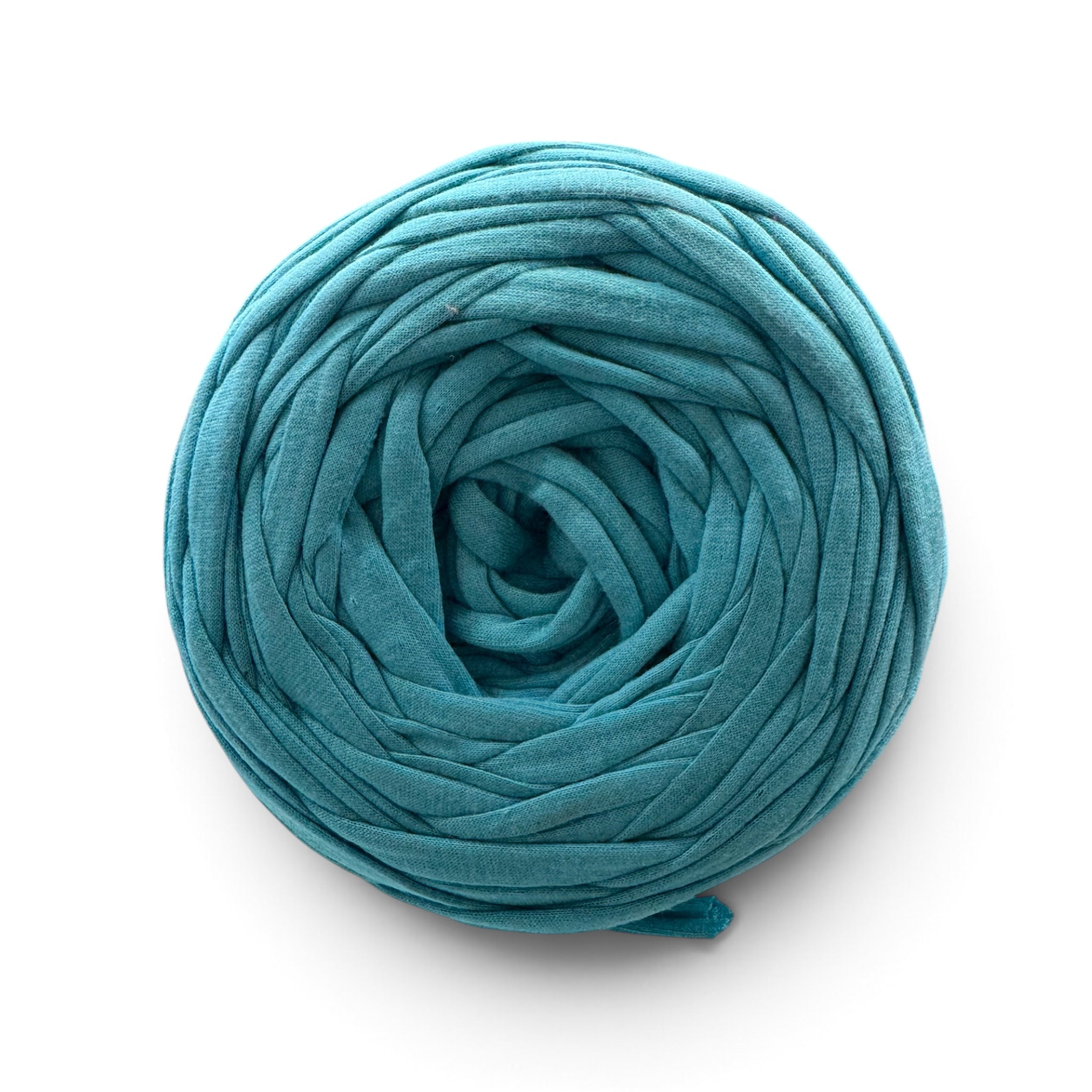 New Firozi-450g
