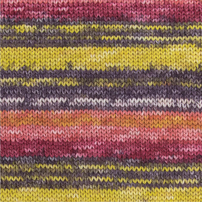 NOVA Exclusive Multi