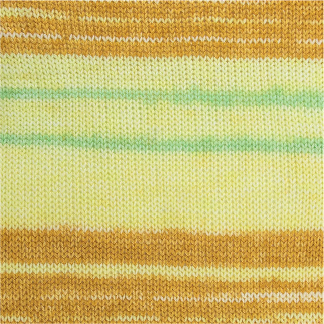 NOVA Exclusive Multi